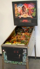 Congo Flipper gebr.