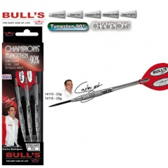 Dartset Champion Steeldart Bulls