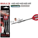Dartset Champion Steeldart Bulls