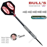Dartset Champions Steeldart Bulls