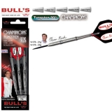 Dartset Champion Steeldart Bulls