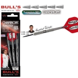 Dartset Champion Steeldart Bulls