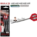 Dartset Champion Steeldart Bulls