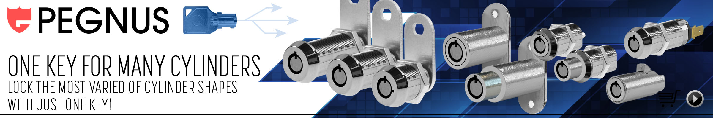 Pegnus Lock cylinder