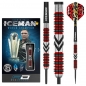 Preview: Steel Dartset Gerwyn Price "Iceman"  Firebird