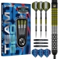Preview: 24g Steel Darts Cori Wiltshire Team 360