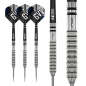 Preview: Steel Dartset Gian van Veen Tour Edition 22g
