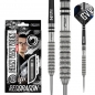 Preview: Steel Dartset Gian van Veen Tour Edition 22g