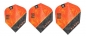 Preview: 4 Flight (12 pcs) Raymond Van Barneveld Gen 4