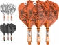 Preview: INK Flight & Schaft Kit Raimond van Barneveld