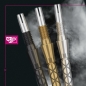Preview: Wechselspitze Swiss Point Storm Diamond 2024