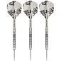 Preview: Steel Dartset (3 Stk)  EXO 90% SP03 2024