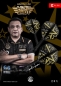 Preview: K-FLEX (3 Stk) Flight & Schaft (No 2) HOT SHOT Harith Lim