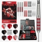 Preview: Target Stephen Bunting 100-teiliges Messing-Dartset – 22 g