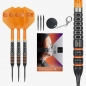 Preview: Raymond van Barneveld 95K SP Steeldarts 2026