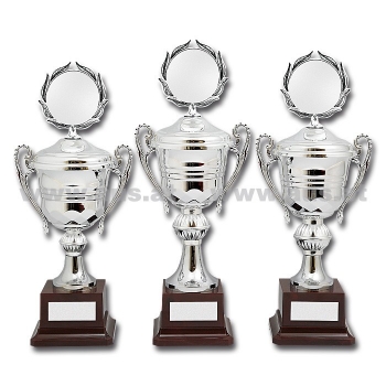 Pokal 3-er Serie Silver Star