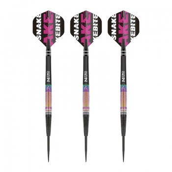 Steel Dartset (3 Stk) Peter Wright World Champion Tapered SE