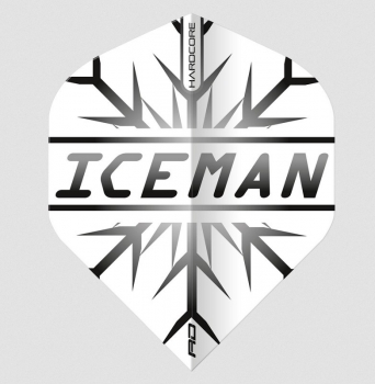 4 Flight Sets (12 Stk) Standard Hardcore Gerwyn Price Snowflake grau