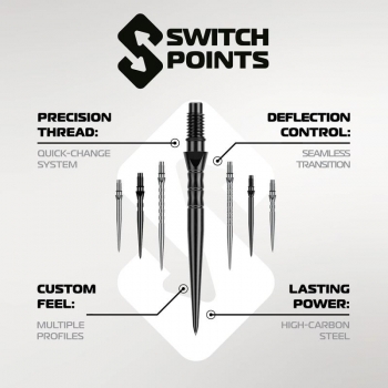 Winmau Switch Point Wave T3