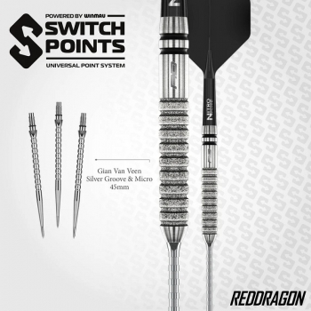 Gian van Veen Tour Edition Dart Set 22g