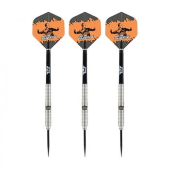 Steel Dartset (3 Stk)  Dirk van Duijvenbode 90%