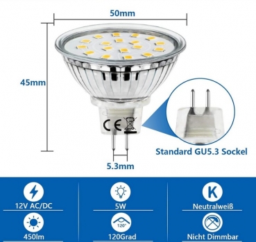 Spotlight für Cyberdine Dart