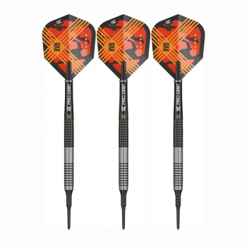 Soft Dartset (3 Stk) Raymond van Barneveld RVB G3 95%