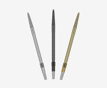 Wechselspitze Swiss DS Point