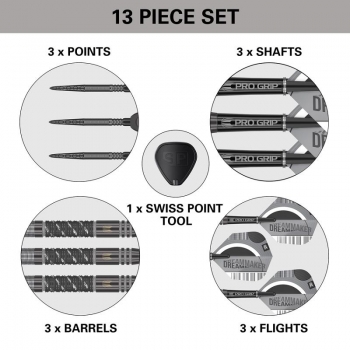 Steel Dartset (3 Stk.) Dimitri van den Bergh 90%  x  Echo SP 2024