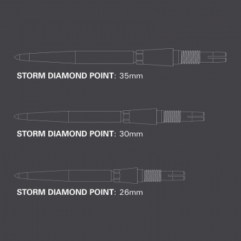 Wechselspitze Swiss Point Storm Diamond 2024