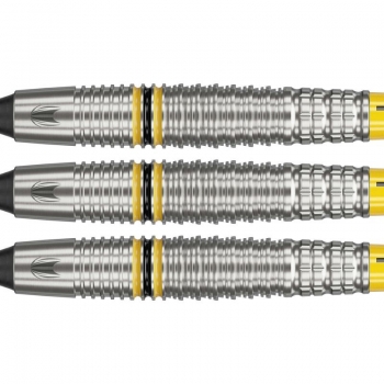 Soft Dartset (3 Stk) Scott Williams 90% 18g
