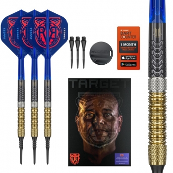 Soft Dart Set Raymond van Barneveld GEN6 95%