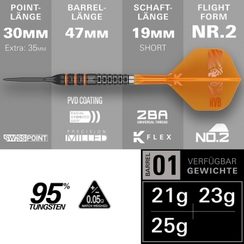 Preview: Raymond van Barneveld 95K SP Steeldarts 2026