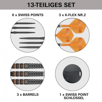 Raymond van Barneveld 95K SP Steeldarts 2026