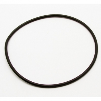 Belt O-Ring CD-100C Rowe Ami 2-18973-01