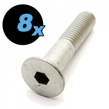 Outdoor Allen-Screw M10x50 silver for metal leg