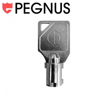 Schlüssel für Pegnus Schloss KA Nr. C1403
