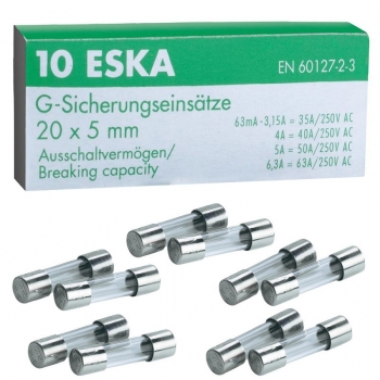 10 Amp. 5x20mm träge Glasrohr Sicherung