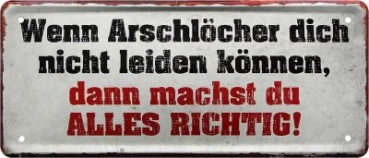 Metal sign  28x12 cm Arschlöcher...Alles Richtig!