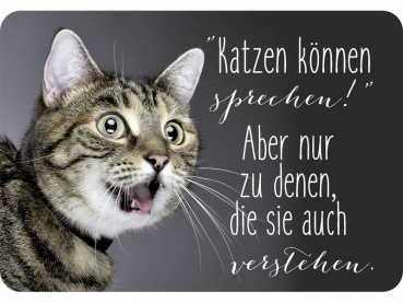 Hänge Blechschild Katzen sprechen