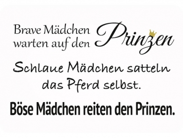 Hänge Blechschild Brave Mädchen, böse Mädchen, Prinzen425077