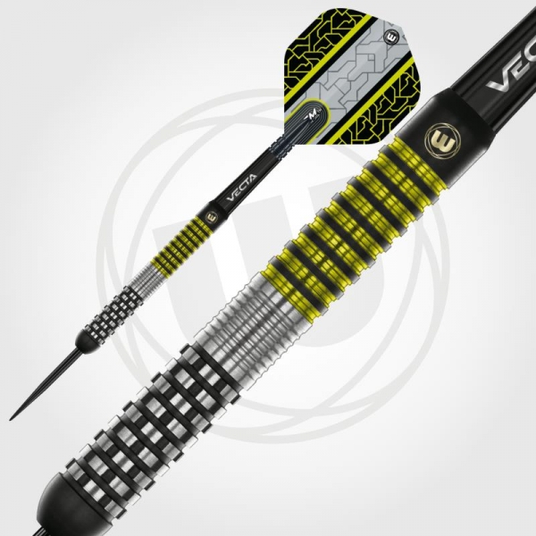 24g Steel Darts Cori Wiltshire Team 360