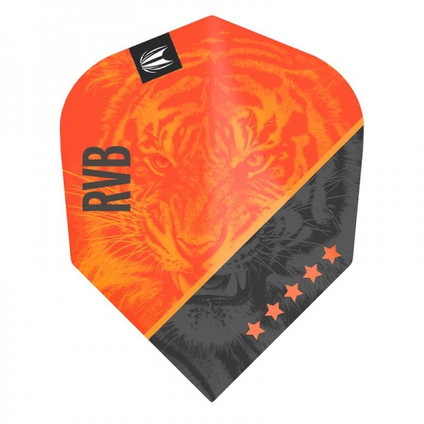 4 Flight (12 pcs) Raymond Van Barneveld Gen 4