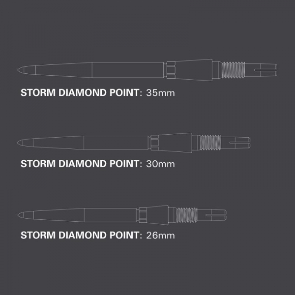 Wechselspitze Swiss Point Storm Diamond 2024