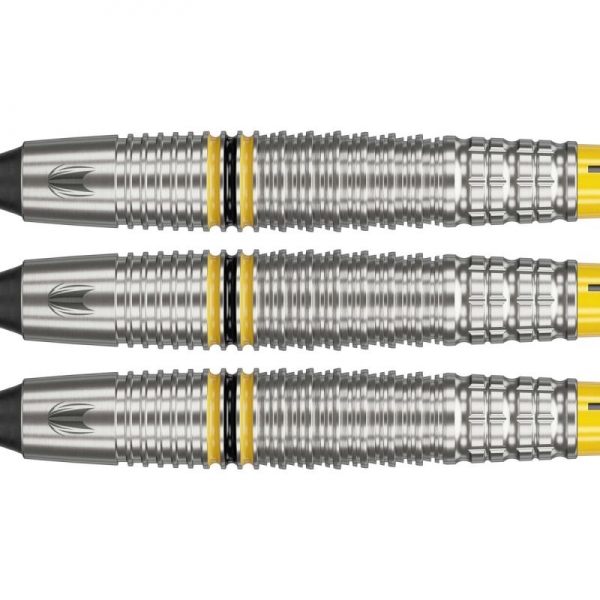 Soft Dartset (3 Stk) Scott Williams 90% 18g