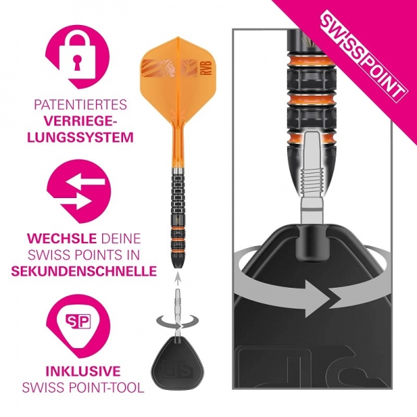 Raymond van Barneveld 95K SP Steeldarts 2026