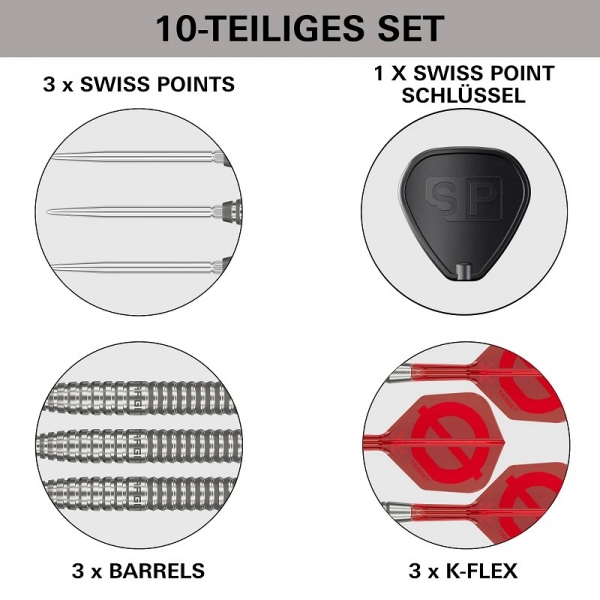 Target GROUP Ø 50% 02 SP Steeldarts 2026
