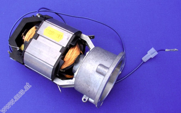 Motor für Kaffee Mühle Saecco
