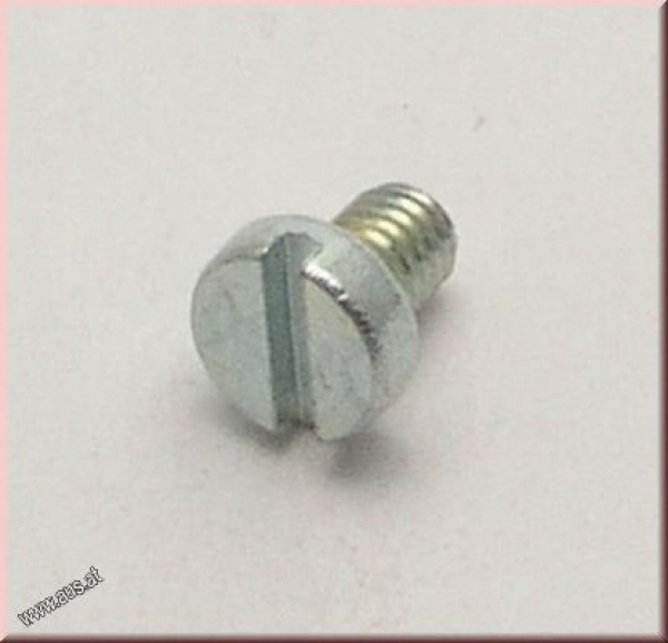 Schraube M3x4 Zylinderkopf