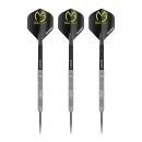 Steel Dartset (3 Stk) Absolute MvG Michael van Gerwen